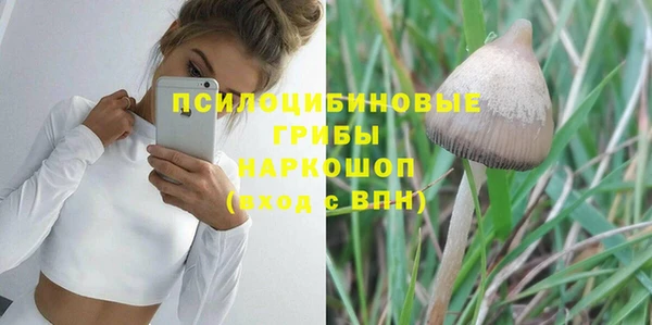 МДПВ Карпинск