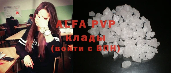 прущие грибы Карталы
