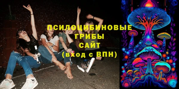 прущие грибы Карталы