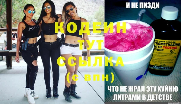 прущие грибы Карталы