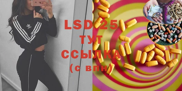 ГАЛЛЮЦИНОГЕННЫЕ ГРИБЫ Тихвин