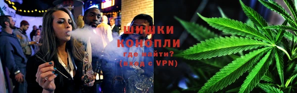 МДПВ Карпинск