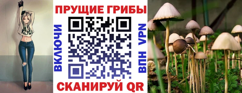 Галлюциногенные грибы Magic Shrooms  Купить  Петушки 